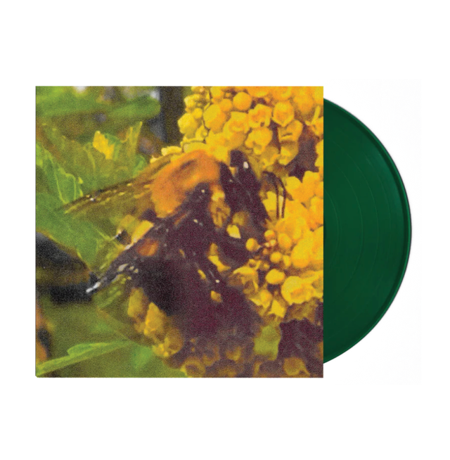 【サイン入り】Aleix Plademunt / ALMOST THERE Wake Up Sunshine Vinyl (Black) | Warner Music Official Store